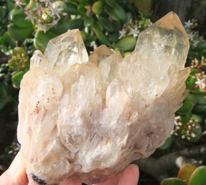 RARE  LARGE Kundalini Quartz Cluster - Image 2