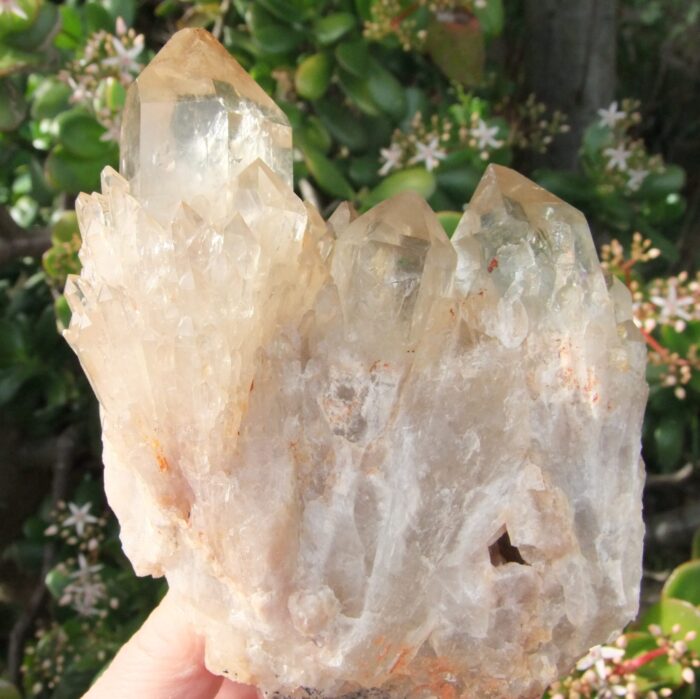 RARE  LARGE Kundalini Quartz Cluster - Image 4