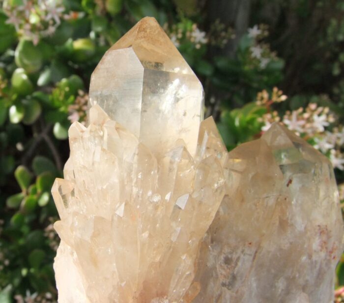 RARE  LARGE Kundalini Quartz Cluster