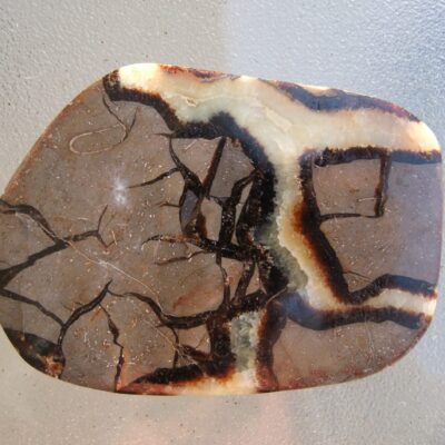 Large Septarian Slice