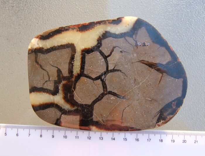 Large Septarian Slice - Image 2