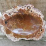 STUNNING Semi Polished Petrified Wood Dish
