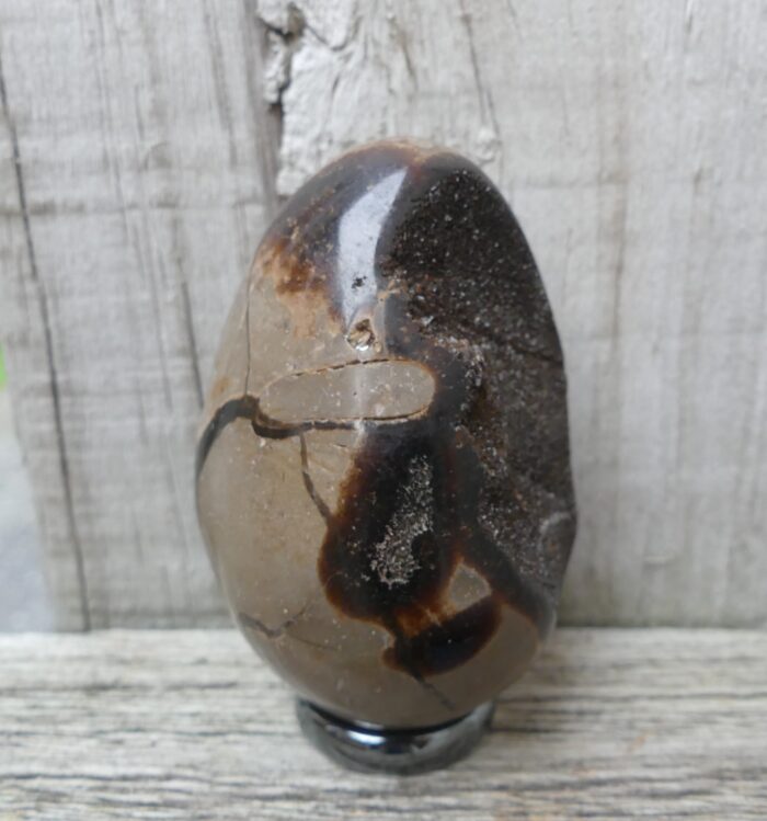 Dragon Septarian Egg - Image 2