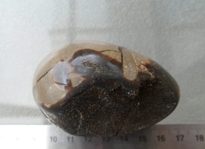 Dragon Septarian Egg - Image 4