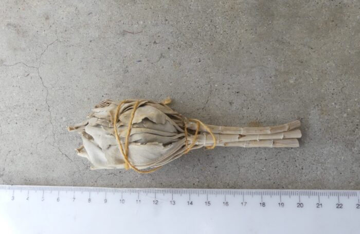 American White Sage Smudge Stick 4inch