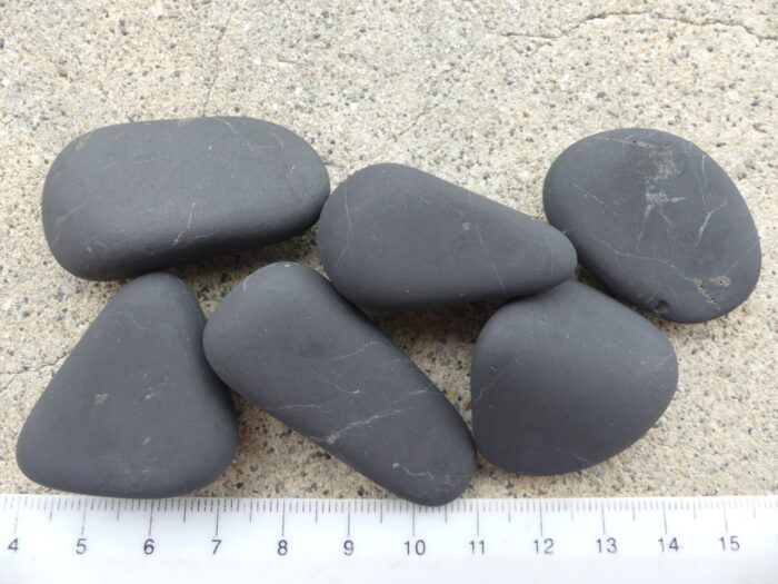 Unpolished Shungite Tumble x1