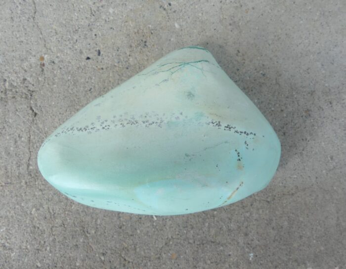 New Find  Aquacolla - Image 2
