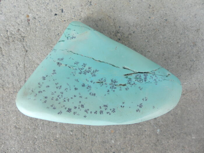 New Find  Aquacolla - Image 3