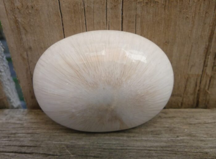 Large Scolecite Soapstone - Image 4