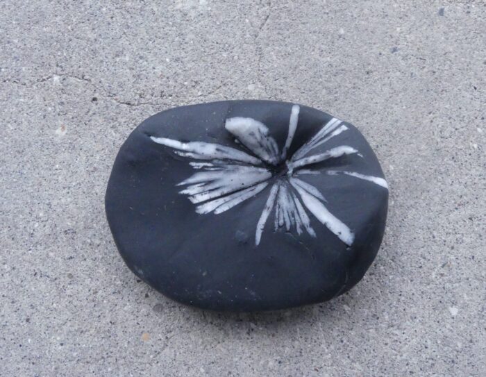 Chrysanthemum Stone