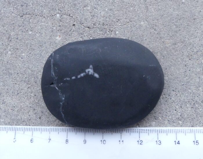 Chrysanthemum Stone - Image 2