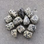 Dalmation Stone Tumble x1