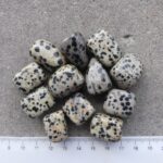 Dalmation Stone Tumble x1
