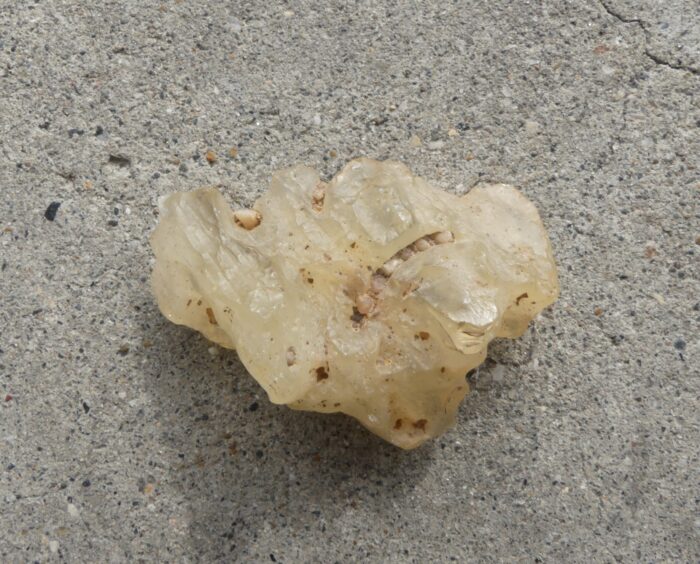 Libyan Gold Tektite 10.5gm - Image 3