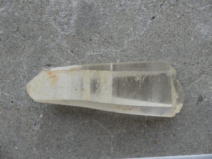 Large Golden Healer Lemurian - Image 3
