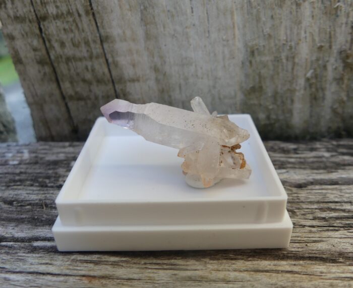 SUPER RARE Reverse Scepter Brandberg - Image 7