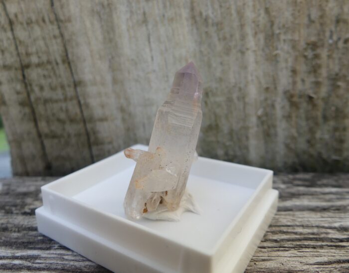 SUPER RARE Reverse Scepter Brandberg - Image 5