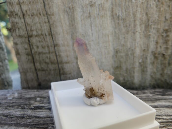 SUPER RARE Reverse Scepter Brandberg - Image 4
