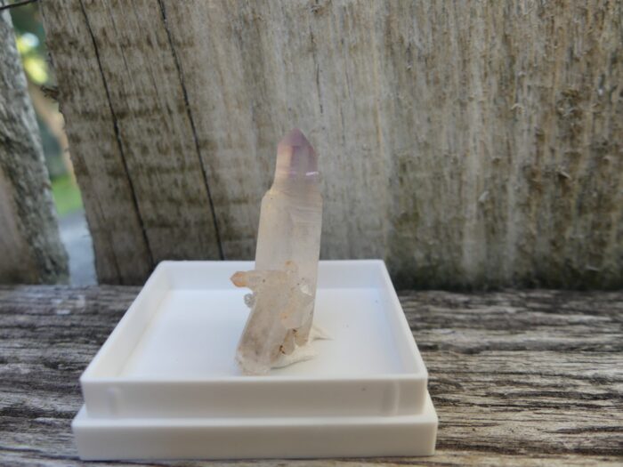 SUPER RARE Reverse Scepter Brandberg - Image 3