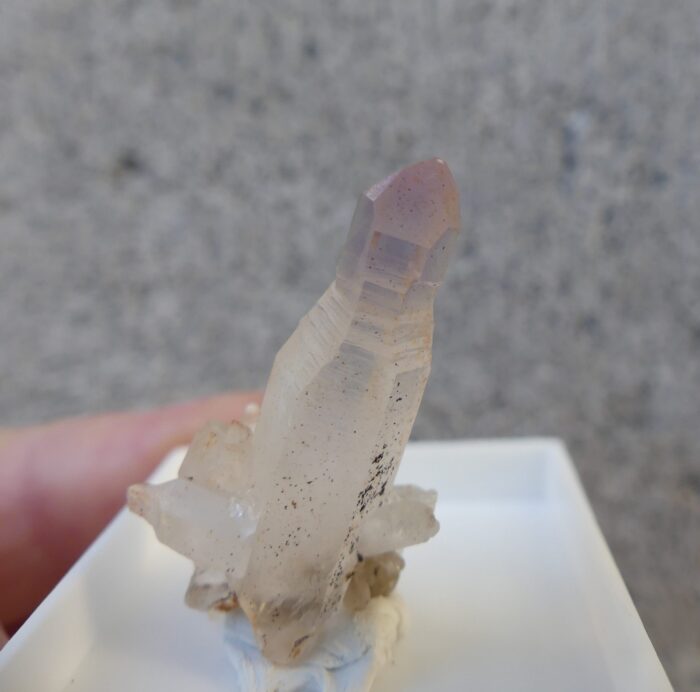 SUPER RARE Reverse Scepter Brandberg