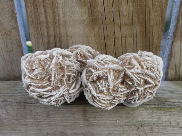 Desert Rose Specimen - Image 4