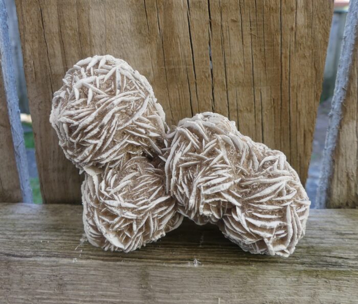 Desert Rose Specimen - Image 3