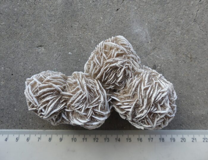Desert Rose Specimen - Image 2
