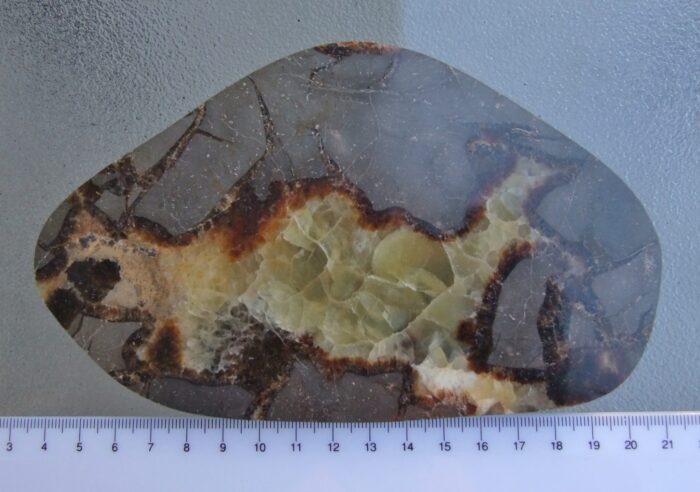 Septarian Slice - Image 2