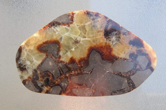 Septarian Slice