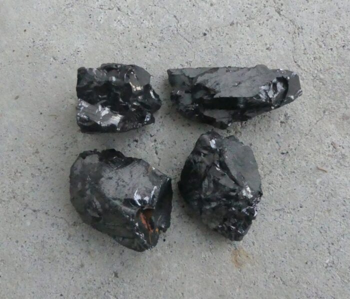 Elite Shungite  25gm