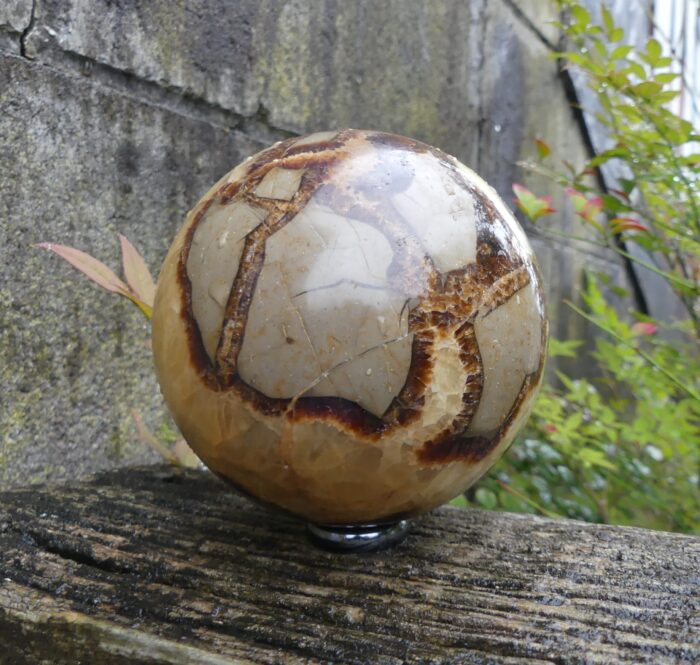 Large Septarian Sphere 1.020kg - Image 6