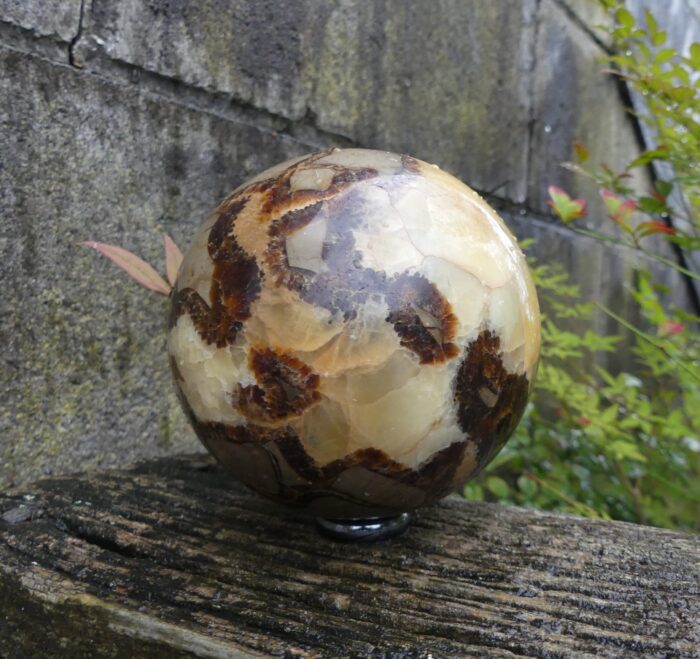 Large Septarian Sphere 1.020kg