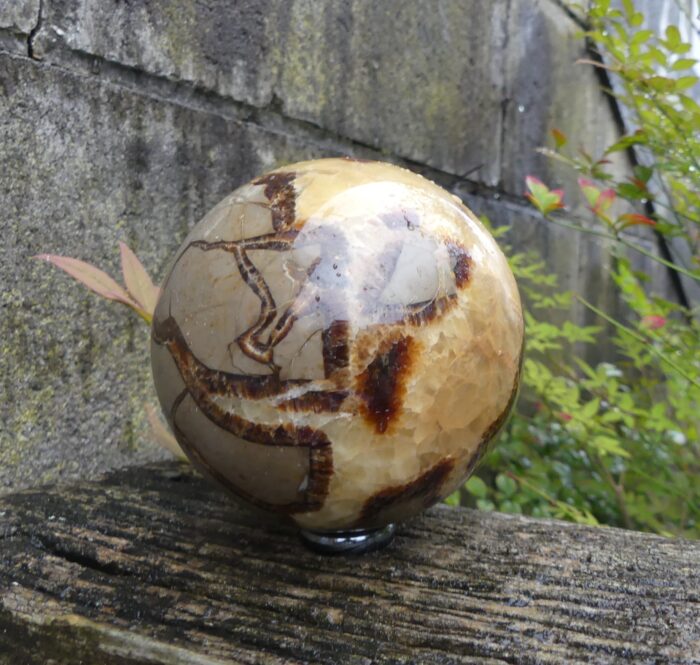 Large Septarian Sphere 1.020kg - Image 5