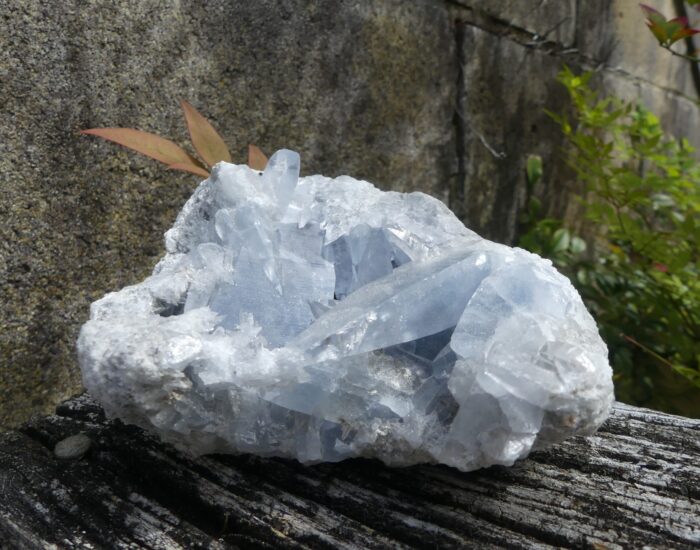 Celestite with Rare Stella Beam Points