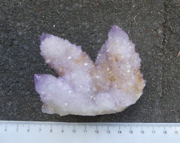 Ametrine Spirit Quartz on Boekenhout Jasper