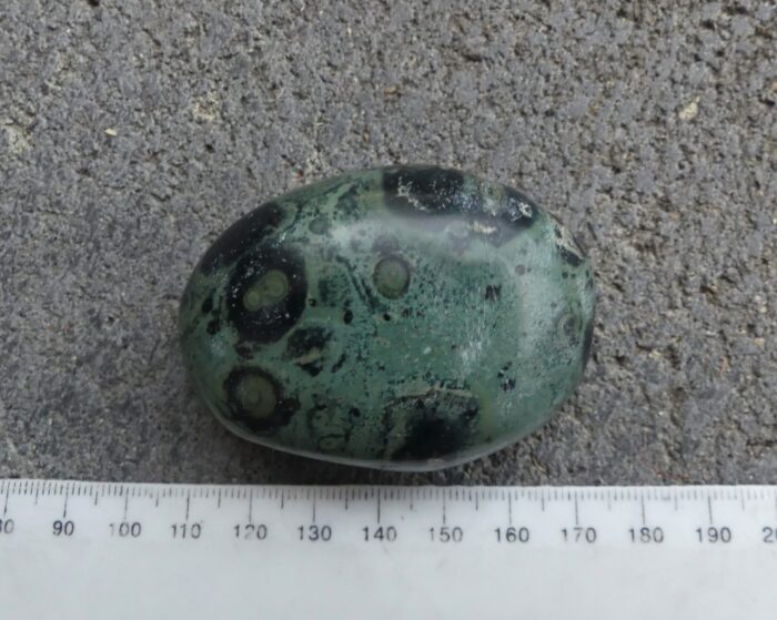 Kambaba/Stromatolite Palmstone - Image 3