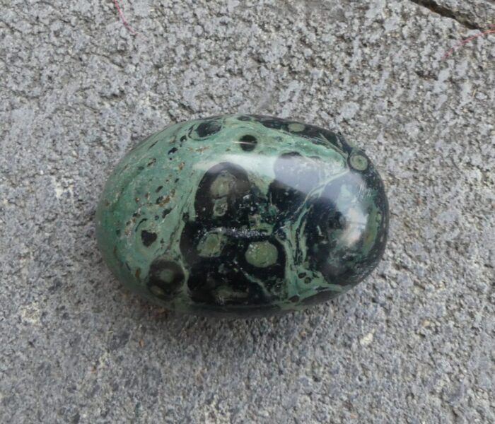 Kambaba/Stromatolite Palmstone - Image 2