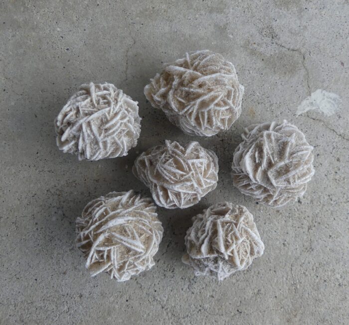 Desert Rose x1 (small)