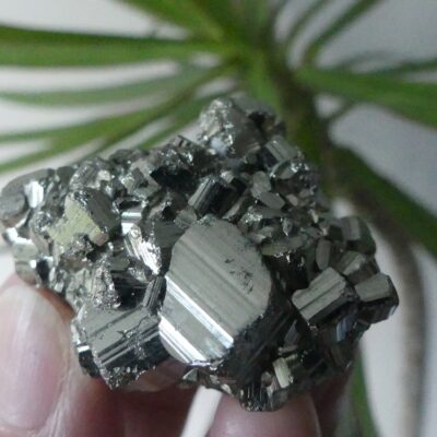 Cubic Pyrite Specimen