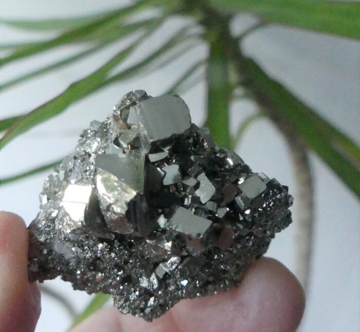 Cubic Pyrite Specimen