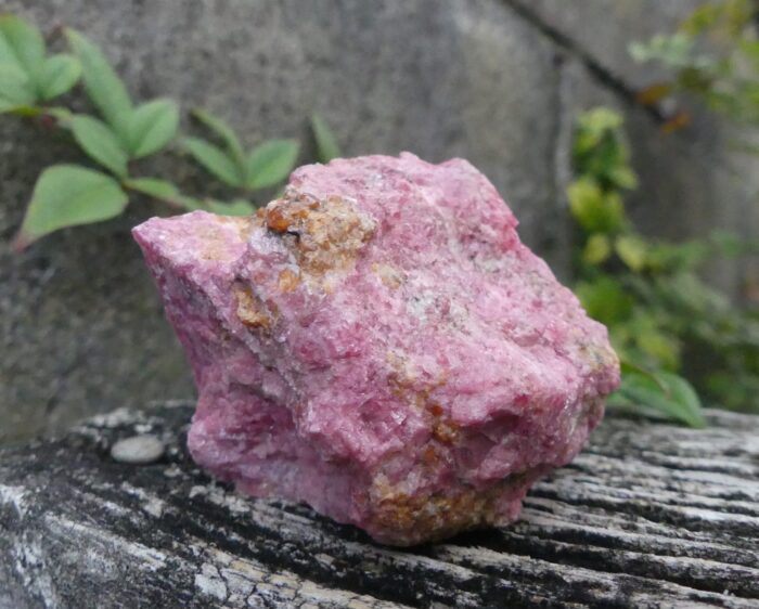 Red Rhodonite with Spessartine Garnet Specimen - Image 3