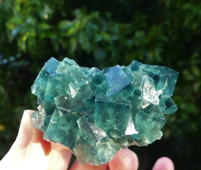 Green Cubic Fluorite