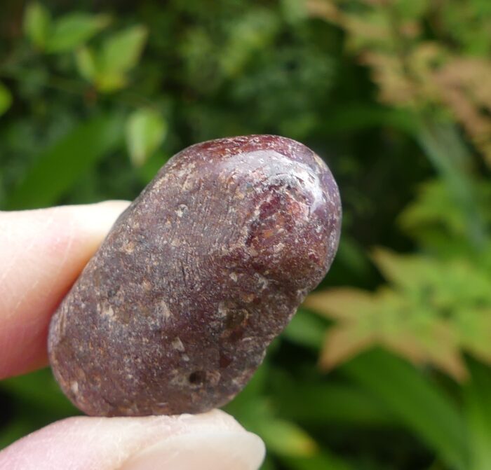 Rare Star Ruby Stick - Image 2