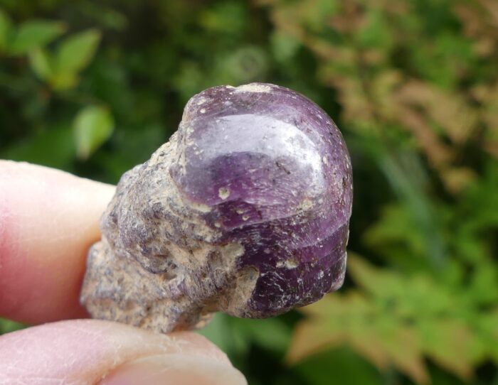 Rare Star Ruby Stick