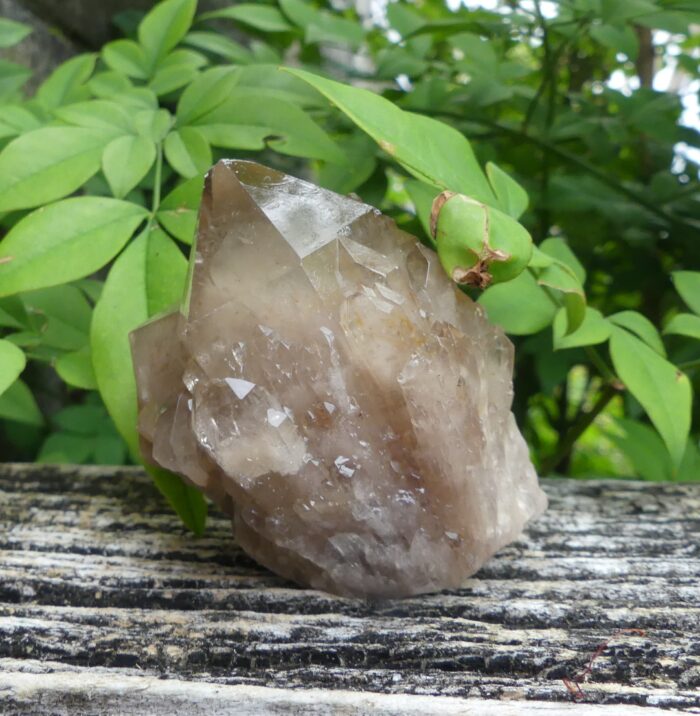 Smokey Phantomed Kundalini Quartz - Image 2