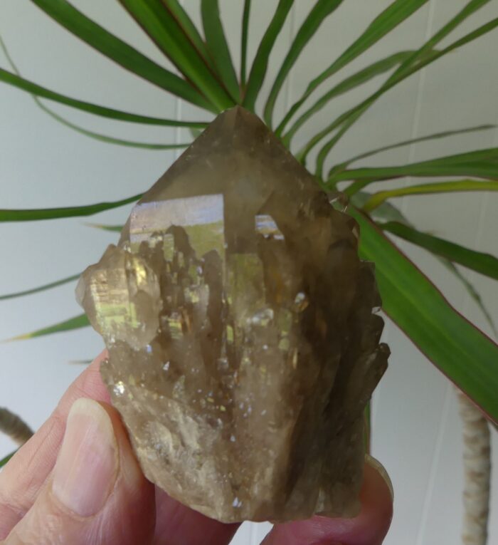 Smokey Phantomed Kundalini Quartz