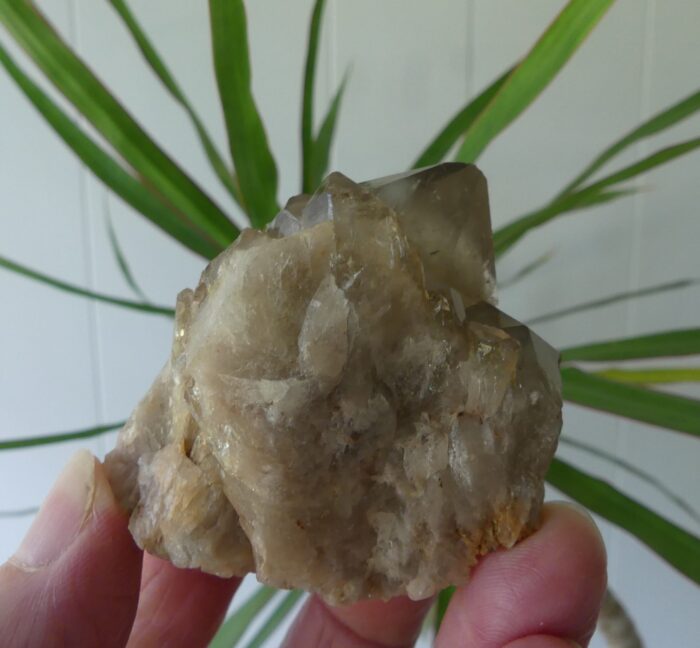 Smokey Phantomed Kundalini Quartz - Image 4