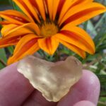 Libyan Gold Tektite 3.41gm
