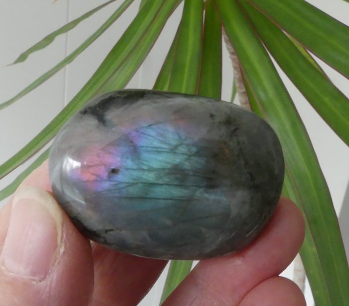 Labradorite Palm