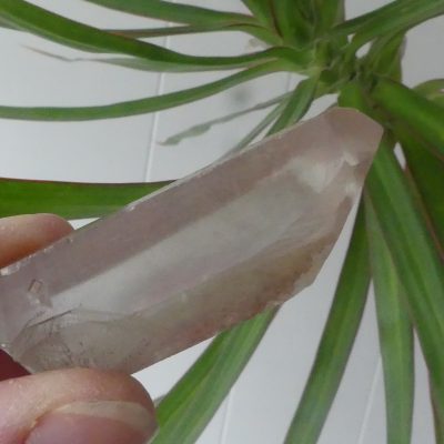 Scarlet Temple Lemurian with Key